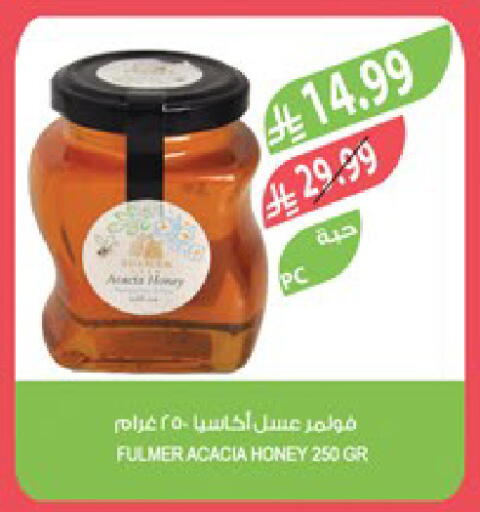 available at المزرعة in مملكة العربية السعودية, السعودية, سعودية - تبوك