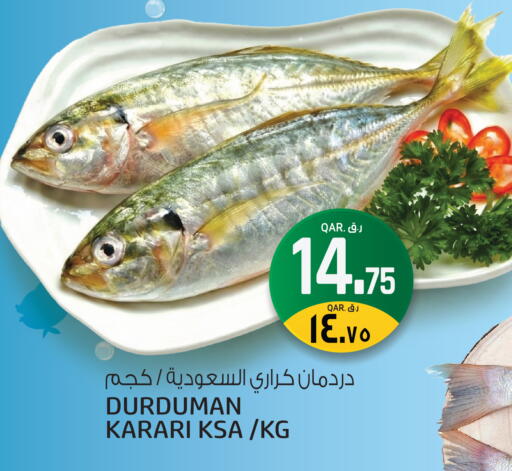 available at السعودية in قطر - الوكرة