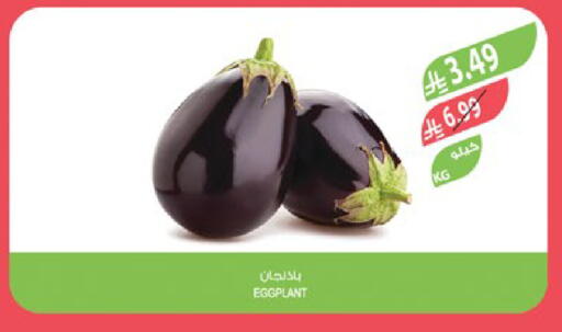 Eggplant available at المزرعة in مملكة العربية السعودية, السعودية, سعودية - تبوك