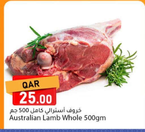 available at دانا ماركت in قطر - الخور