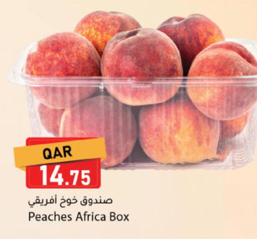 available at دانا ماركت in قطر - الخور