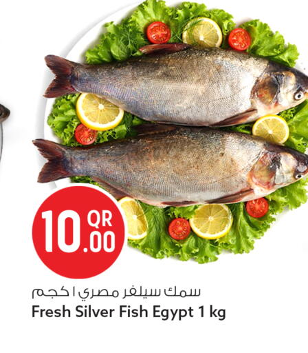 available at Safari Hypermarket in Qatar - Al Wakra