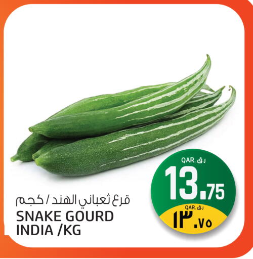 from India available at السعودية in قطر - الشحانية