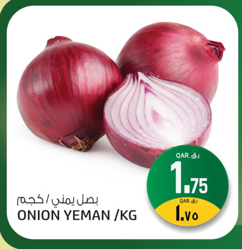 Onion available at السعودية in قطر - الشحانية