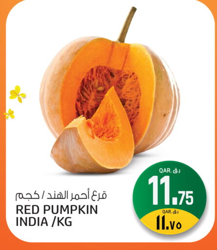 Pumpkin from India available at السعودية in قطر - الشحانية