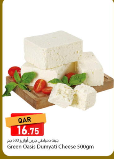 available at دانا ماركت in قطر - الخور