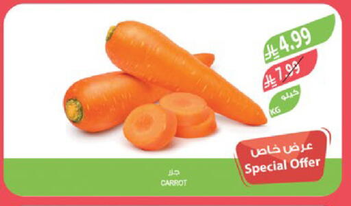 Carrot available at المزرعة in مملكة العربية السعودية, السعودية, سعودية - تبوك