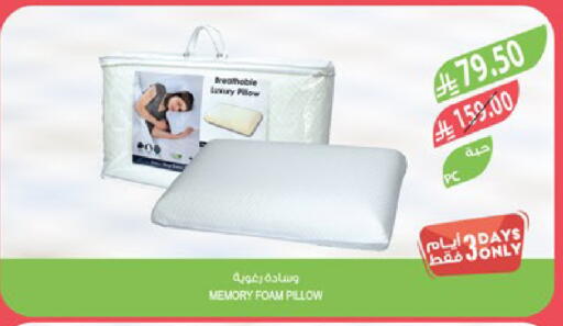 available at المزرعة in مملكة العربية السعودية, السعودية, سعودية - تبوك