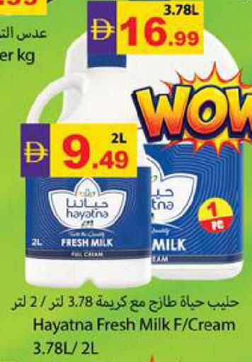 available at جلف هايبرماركت ذ.م.م in الإمارات العربية المتحدة , الامارات - رَأْس ٱلْخَيْمَة