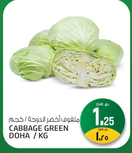 Cabbage from Qatar available at Saudia Hypermarket in Qatar - Al Shamal