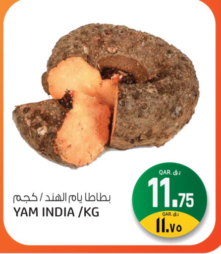 from India available at السعودية in قطر - الشحانية
