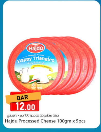 available at دانا ماركت in قطر - الخور