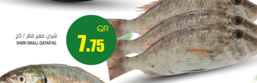 available at جراند هايبرماركت in قطر - الوكرة