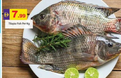 available at جلف هايبرماركت ذ.م.م in الإمارات العربية المتحدة , الامارات - رَأْس ٱلْخَيْمَة