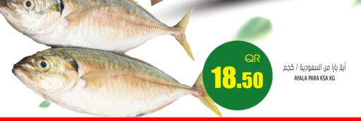 available at جراند هايبرماركت in قطر - الشحانية