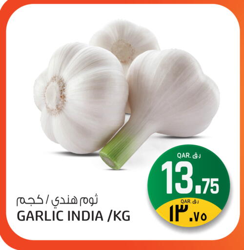 Garlic from India available at Saudia Hypermarket in Qatar - Al Rayyan