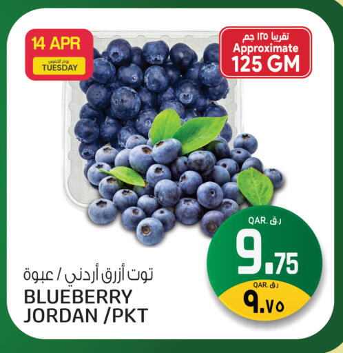 Blueberry BlueBerry from Jordan available at كنز ميني مارت in قطر - الريان