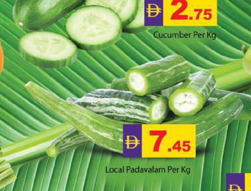 Cucumber available at جلف هايبرماركت ذ.م.م in الإمارات العربية المتحدة , الامارات - رَأْس ٱلْخَيْمَة