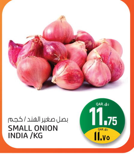 Onion from India available at السعودية in قطر - الشحانية