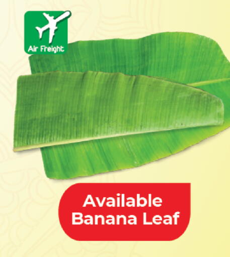 Banana available at LuLu Hypermarket in Qatar - Doha
