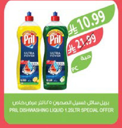 available at المزرعة in مملكة العربية السعودية, السعودية, سعودية - تبوك