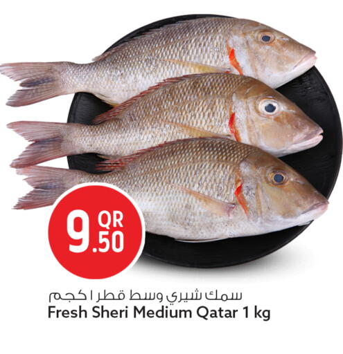 available at Safari Hypermarket in Qatar - Al Wakra