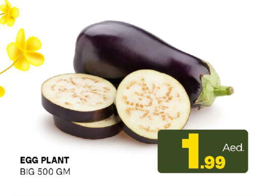 available at Al Madina  in UAE - Sharjah / Ajman