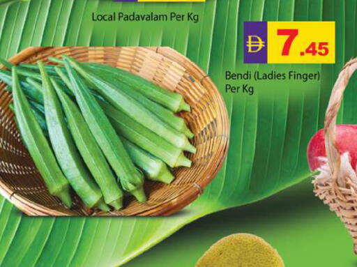 available at جلف هايبرماركت ذ.م.م in الإمارات العربية المتحدة , الامارات - رَأْس ٱلْخَيْمَة