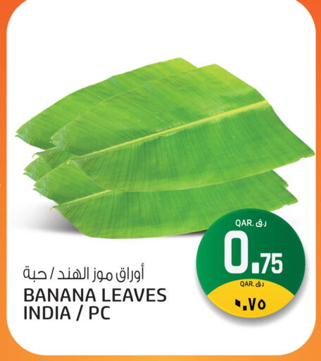 Banana available at السعودية in قطر - الشحانية