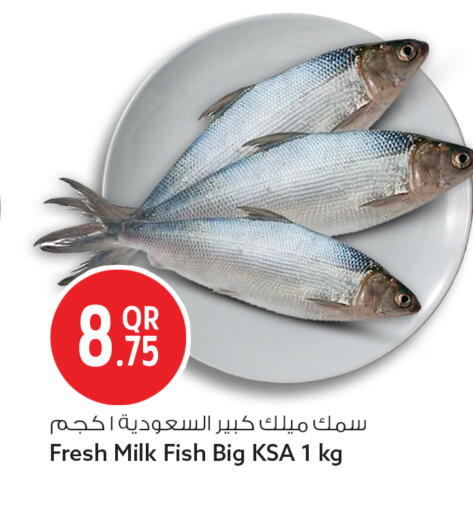available at Safari Hypermarket in Qatar - Al Wakra