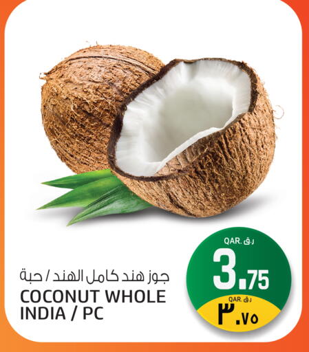 Coconut from India available at السعودية in قطر - الشحانية