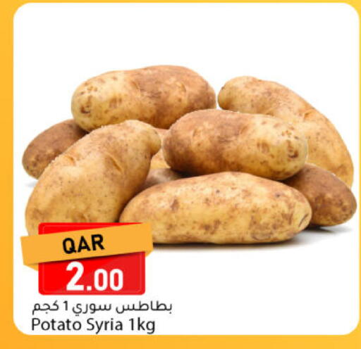 Potato from Syria available at دانا ماركت in قطر - الخور