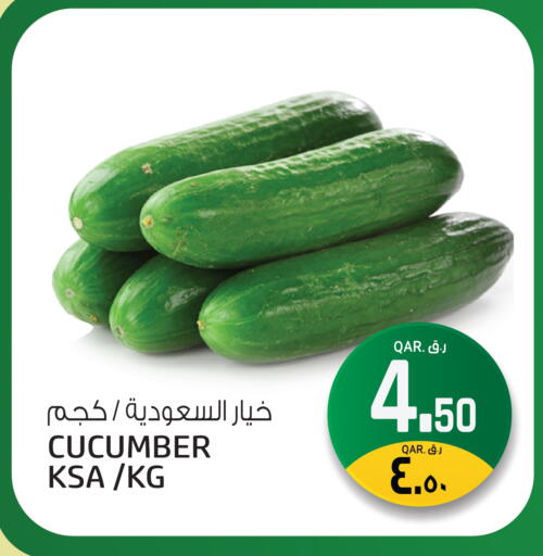 Cucumber available at Saudia Hypermarket in Qatar - Al Shamal