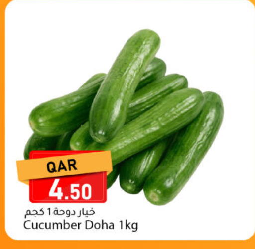 Cucumber from Qatar available at دانا ماركت in قطر - الخور