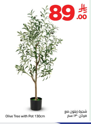 available at وهج مارت in مملكة العربية السعودية, السعودية, سعودية - جدة