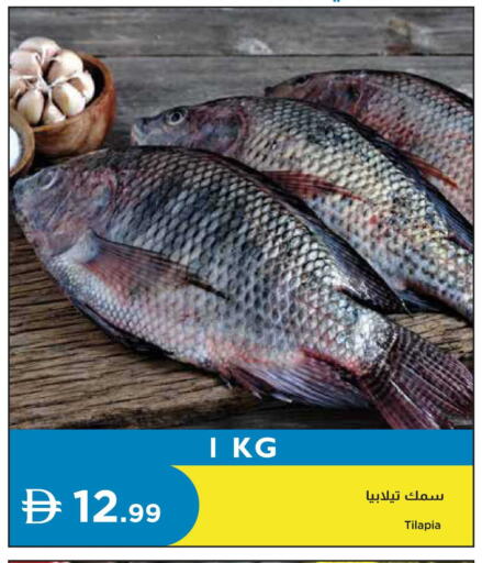 available at Istanbul Supermarket in UAE - Abu Dhabi