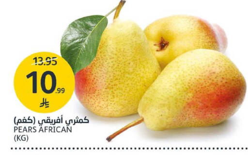 available at AlJazera Shopping Center in KSA, Saudi Arabia, Saudi - Riyadh