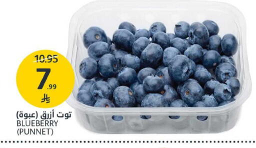 Blueberry BlueBerry available at AlJazera Shopping Center in KSA, Saudi Arabia, Saudi - Riyadh