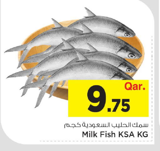 available at مارك & سيف in قطر - الوكرة