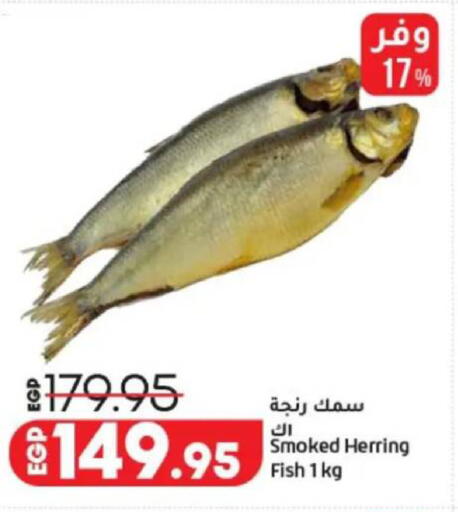 available at Lulu Hypermarket  in Egypt - Cairo