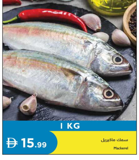 available at Istanbul Supermarket in UAE - Abu Dhabi