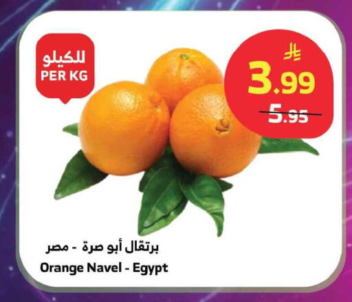 Orange from Egypt available at الراية in مملكة العربية السعودية, السعودية, سعودية - تبوك