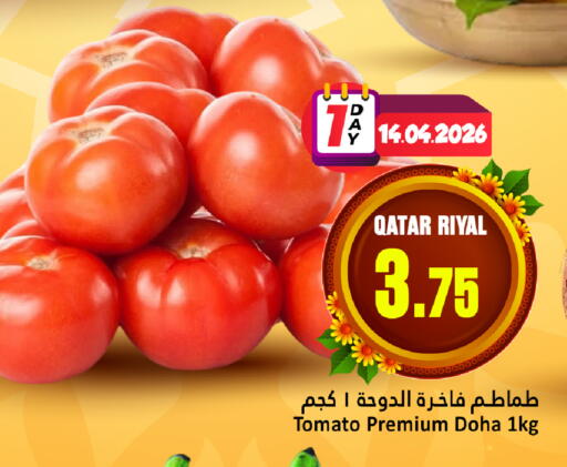 Tomato from Qatar available at دانة هايبرماركت in قطر - الشمال