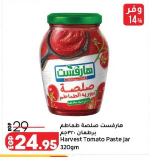 Tomato available at Lulu Hypermarket  in Egypt - Cairo