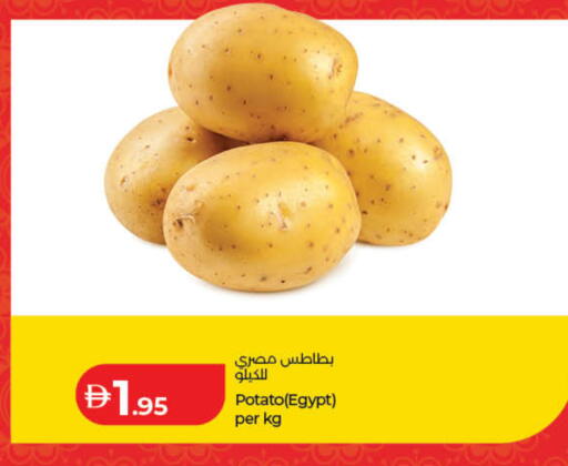 Potato from Egypt available at Lulu Hypermarket in UAE - Ras al Khaimah