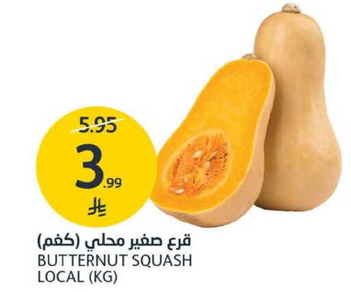 Squash available at مركز الجزيرة للتسوق in مملكة العربية السعودية, السعودية, سعودية - الرياض