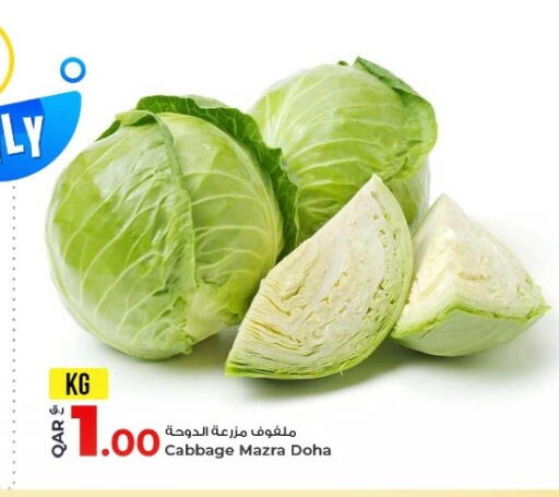 Cabbage from Qatar available at روابي هايبرماركت in قطر - الشمال