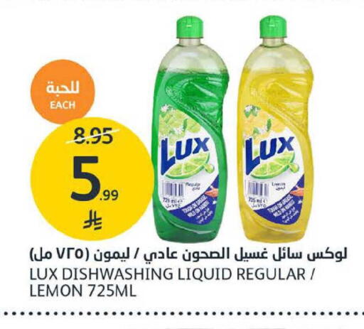 Lemon available at AlJazera Shopping Center in KSA, Saudi Arabia, Saudi - Riyadh