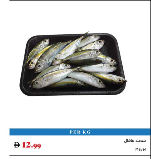 available at تروليز سوبرماركت in الإمارات العربية المتحدة , الامارات - الشارقة / عجمان