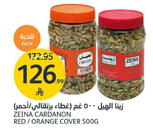 Orange available at AlJazera Shopping Center in KSA, Saudi Arabia, Saudi - Riyadh